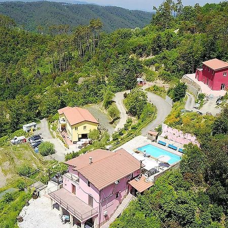 Villa I Gelsi E I Castagni à Polverara Extérieur photo