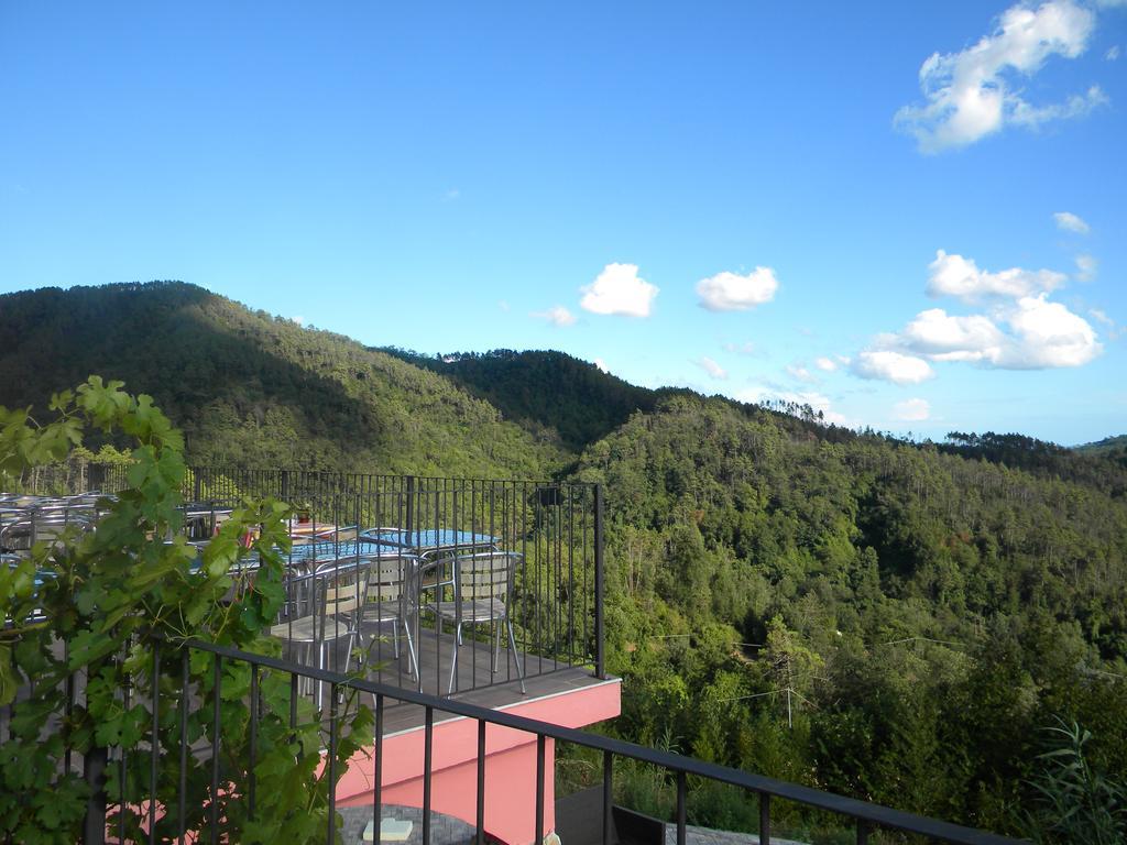 Villa I Gelsi E I Castagni à Polverara Extérieur photo