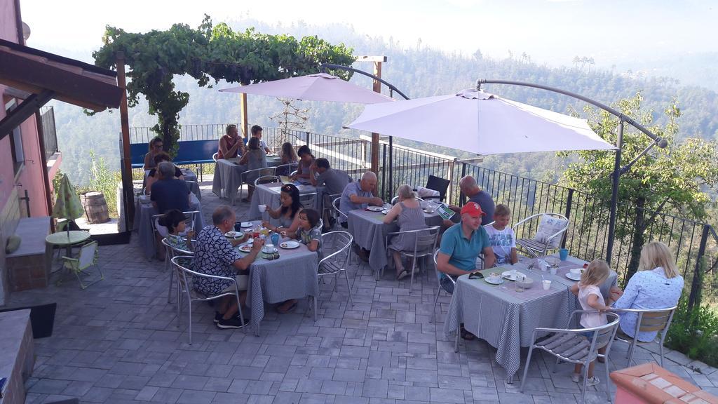 Villa I Gelsi E I Castagni à Polverara Extérieur photo