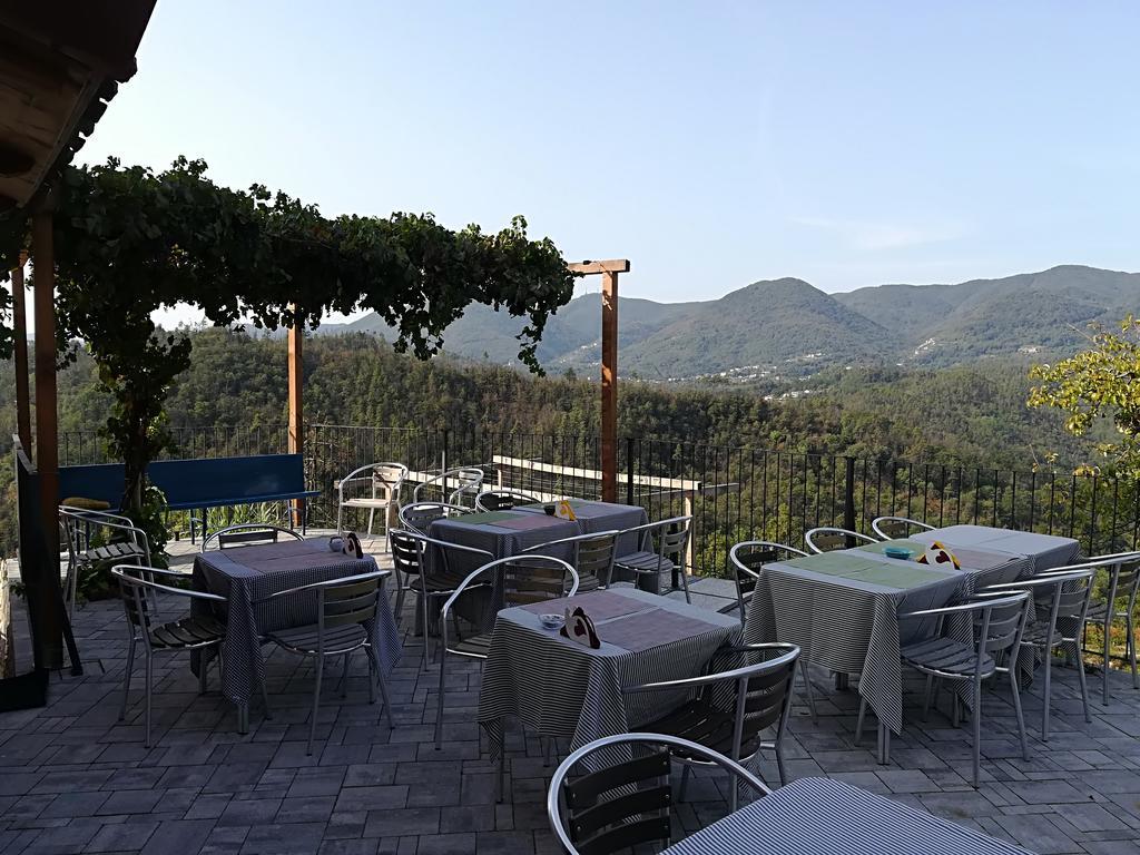 Villa I Gelsi E I Castagni à Polverara Extérieur photo