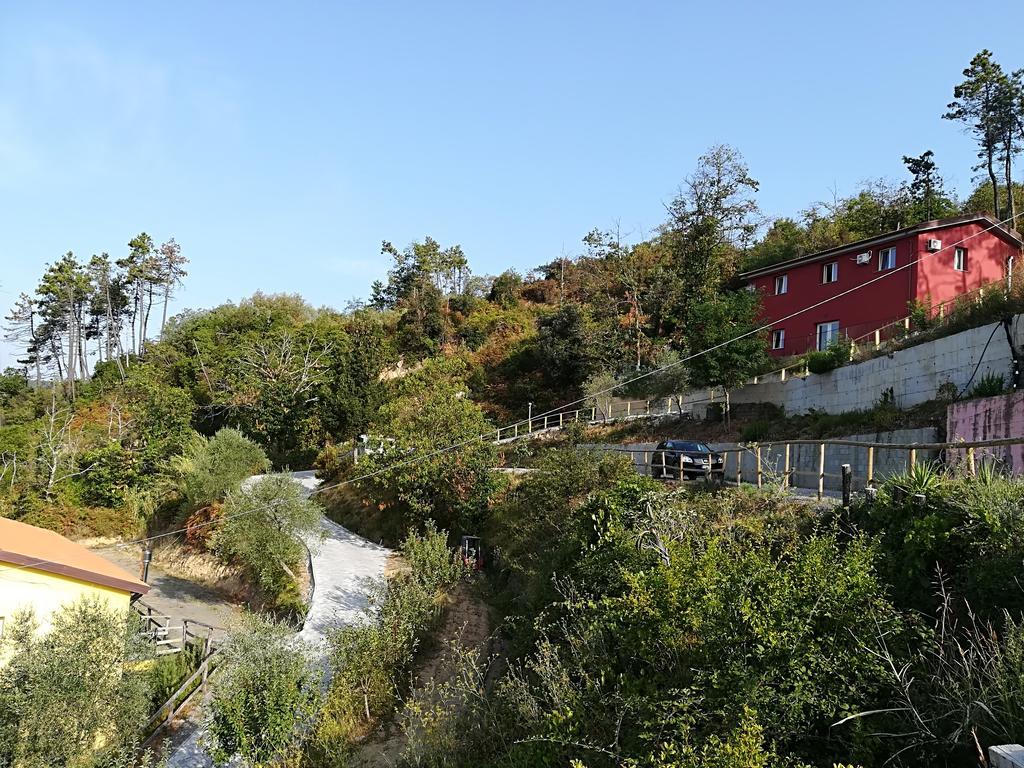 Villa I Gelsi E I Castagni à Polverara Extérieur photo